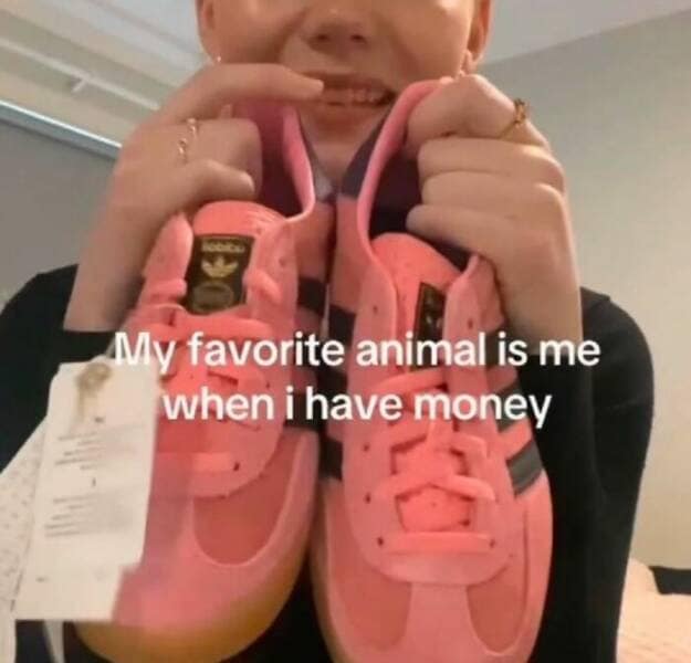 meme dump, funny memes, hilarious memes, Saturday memes, weekend humor, comedy collection, meme compilation, laughter fest, humor roundup, meme gallery, dank meme dump, dank memes