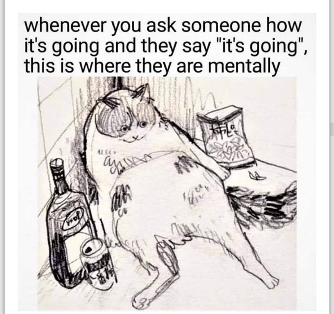 meme dump, funny memes, hilarious memes, Saturday memes, weekend humor, comedy collection, meme compilation, laughter fest, humor roundup, meme gallery, dank meme dump, dank memes