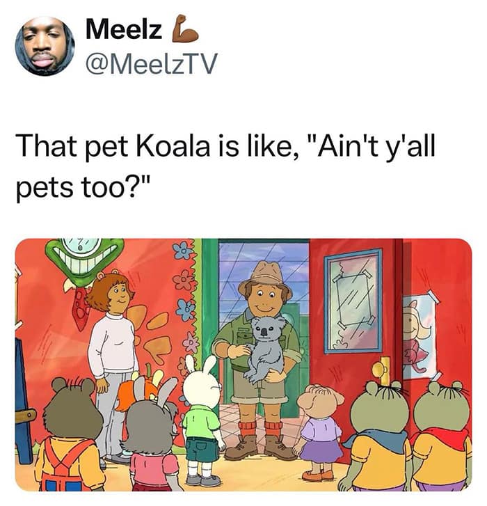 Meelz @MeelzTV That pet Koala is like, "Ain't y'all pets too?"
