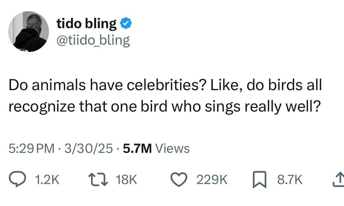 tido bling @ @tiido_bling Do animals have celebrities? Like, do birds all recognize that one bird who sings really well? 5:29 PM • 3/30/25 • 5.7M Views • 1.2K 17 18K 2298 W 8.7K 1