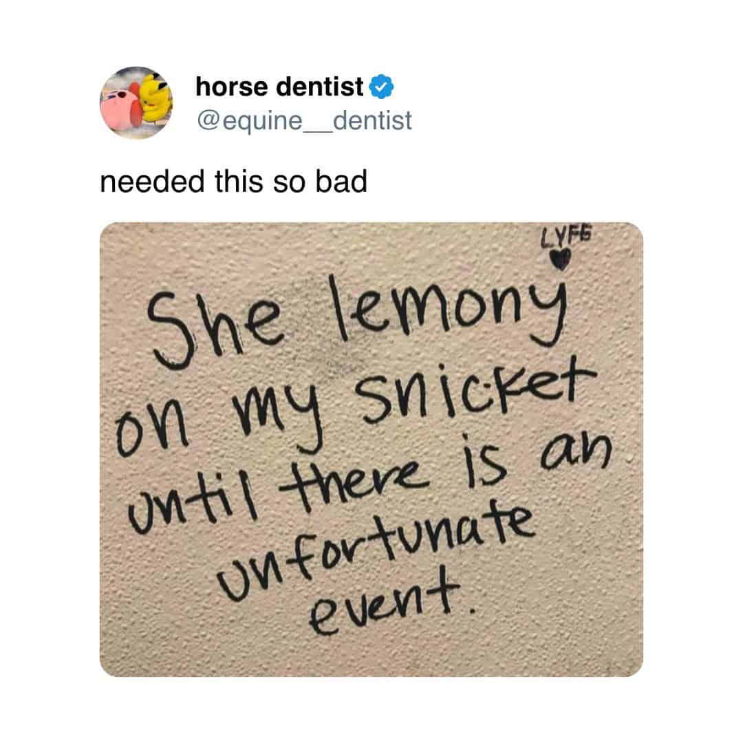 horse dentist © @equine. dentist needed this so bad LYFE She lemony on my snicket until there is an unfortunate event