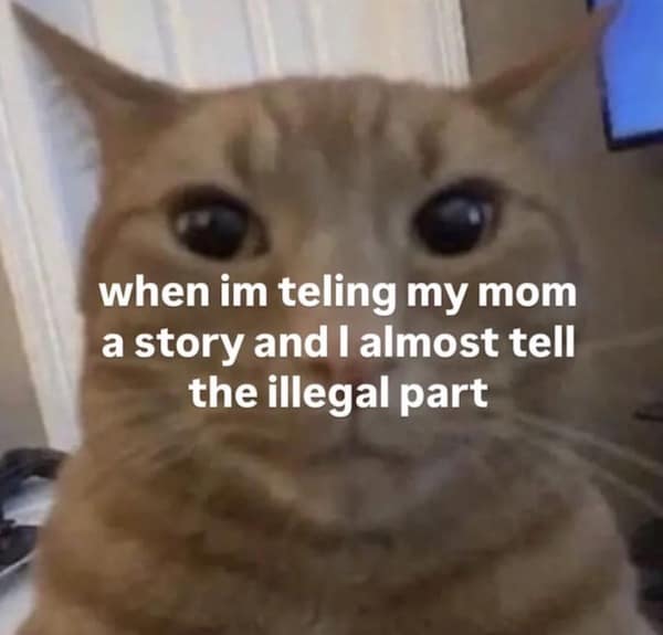 when im teling my mom a story and I almost tell the illegal part
