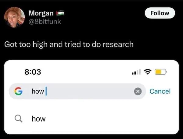 Morgan @8bitfunk Got too high and tried to do research 8:03 G how! aall Q how Follow Cancel