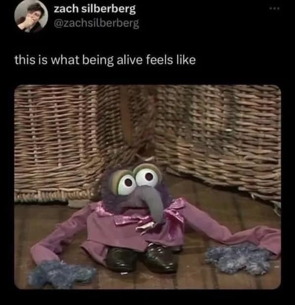 zach silberberg @zachsilberberg this is what being alive feels like