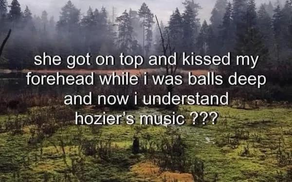meme dump, hilarious memes, funny memes, vening dump session, curated meme collection, meme compilation, funny meme selection, meme roundup, internet meme, memes funny, internet meme