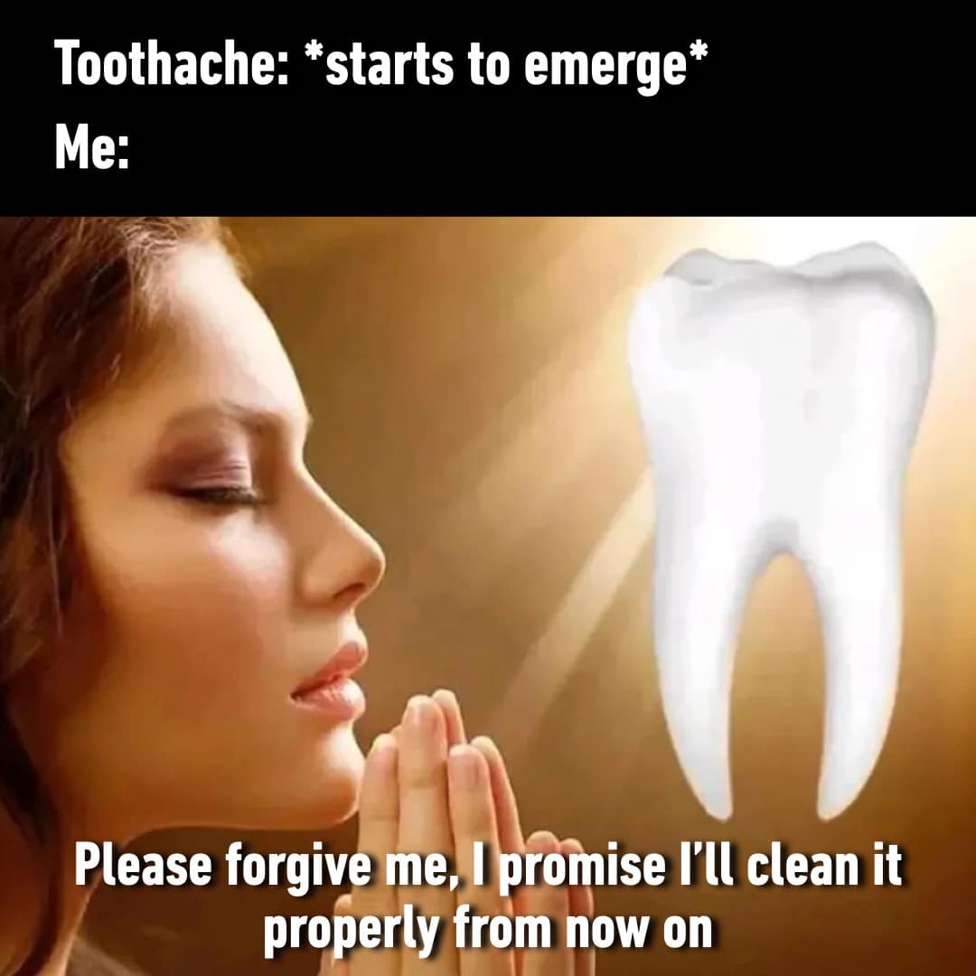 meme dump, funny memes, hilarious memes, meme collection, comedic spree, batch of memes, comedic images, laugh-worthy posts, side-splitting visuals, comedic snapshots, lazy Sunday memes, weekend humor, procrastination jokes, dank memes, dank meme dump, memes funny