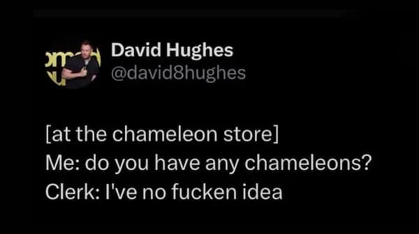 meme dump, hilarious memes, funny memes, vening dump session, curated meme collection, meme compilation, funny meme selection, meme roundup, internet meme, memes funny, internet meme