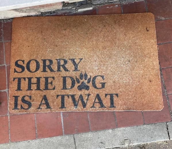 meme dump, funny memes, hilarious memes, meme bundle, meme collection, meme roundup, comedy memes, laugh memes, trending memes, viral memes, popular memes, hot memes, internet memes, web humor, online jokes, social media memes, internet meme, memes funny