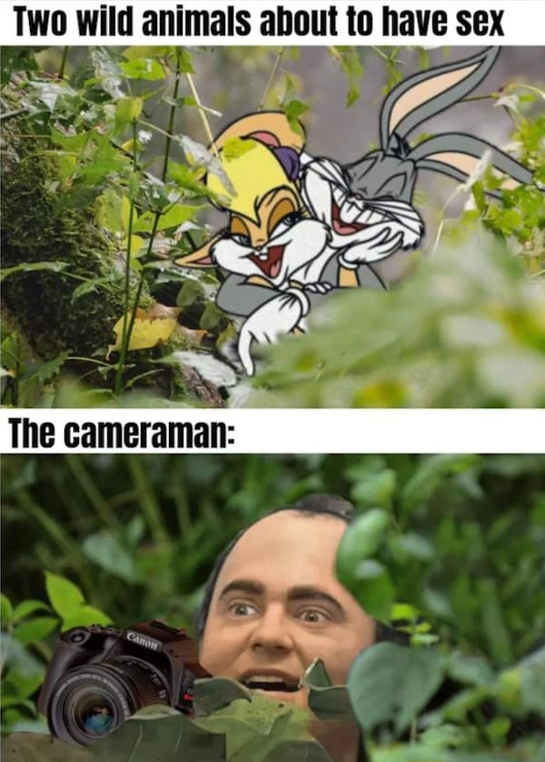 meme dump, funny memes, hilarious memes, meme roundup, meme collection, big meme batch, humorous memes, trending internet humor, viral internet jokes, popular online comedy, laugh-worthy memes, comedic memes, dank memes, dank meme dump, memes funny