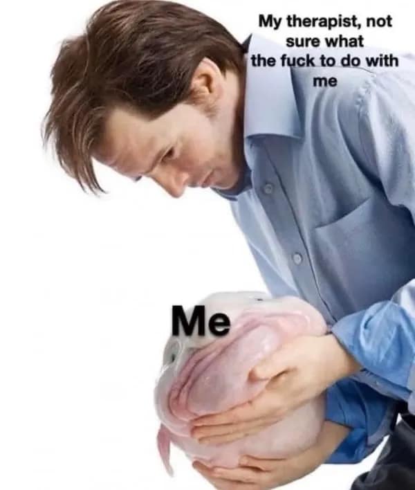 meme dump, hilarious memes, funny memes, vening dump session, curated meme collection, meme compilation, funny meme selection, meme roundup, internet meme, memes funny, internet meme