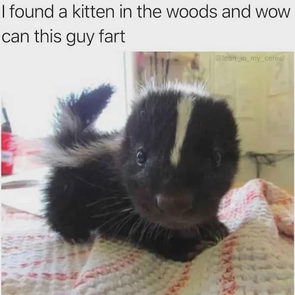 meme dump, funny memes, hilarious memes, memes funny, internet meme, dank memes, dank meme dump, meme stash, viral memes, trending jokes, trending memes