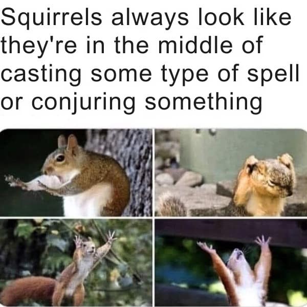 meme dump, funny memes, hilarious memes, meme collection, comedic spree, batch of memes, comedic images, laugh-worthy posts, side-splitting visuals, comedic snapshots, lazy Sunday memes, weekend humor, procrastination jokes, dank memes, dank meme dump, memes funny