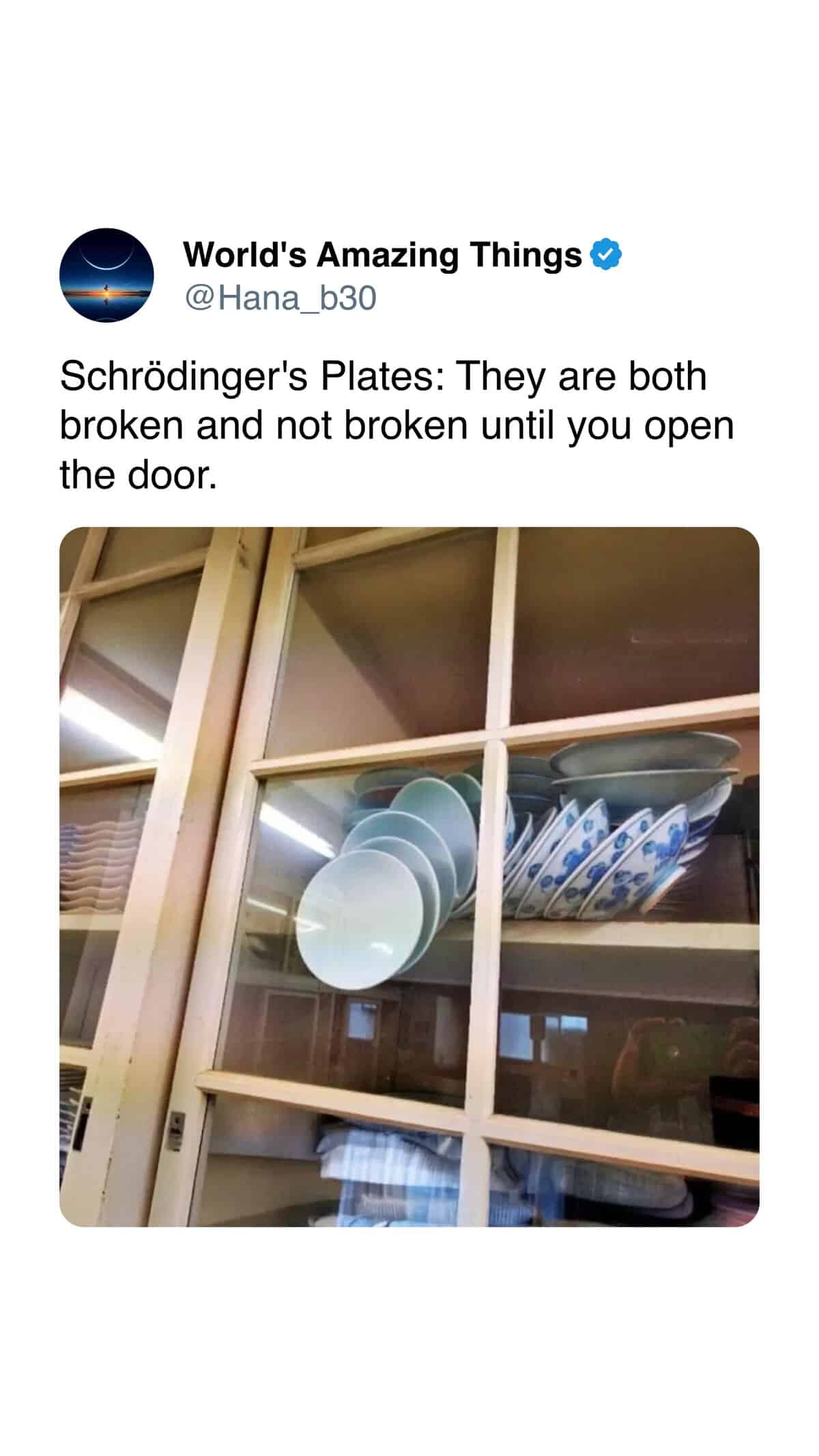 meme dump, hilarious memes, funny memes, vening dump session, curated meme collection, meme compilation, funny meme selection, meme roundup, internet meme, memes funny, internet meme
