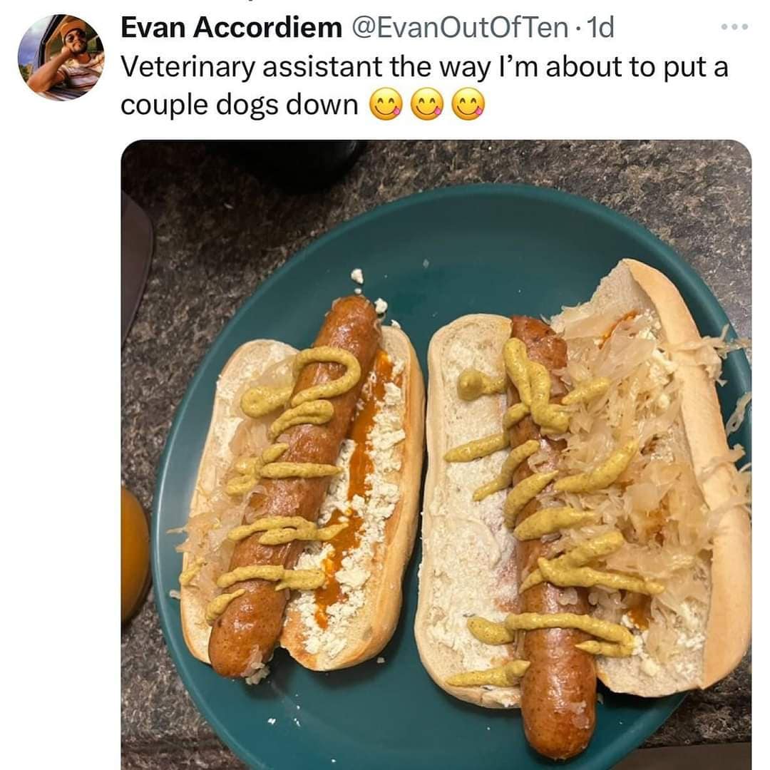 meme dump, hilarious memes, funny memes, vening dump session, curated meme collection, meme compilation, funny meme selection, meme roundup, internet meme, memes funny, internet meme