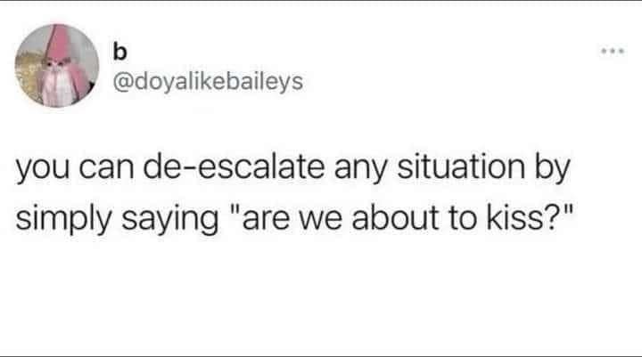 meme dump, hilarious memes, funny memes, vening dump session, curated meme collection, meme compilation, funny meme selection, meme roundup, internet meme, memes funny, internet meme