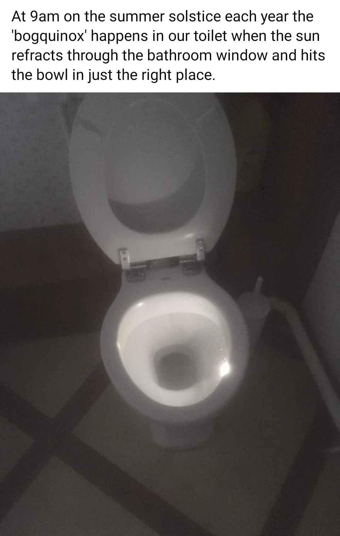 meme dump, funny memes, hilarious memes, meme collection, comedic spree, batch of memes, comedic images, laugh-worthy posts, side-splitting visuals, comedic snapshots, lazy Sunday memes, weekend humor, procrastination jokes, dank memes, dank meme dump, memes funny