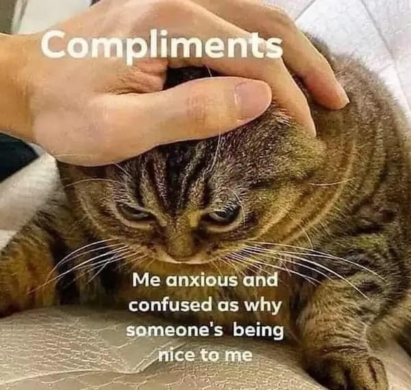 meme dump, funny memes, hilarious memes, meme bundle, meme collection, meme roundup, comedy memes, laugh memes, trending memes, viral memes, popular memes, hot memes, internet memes, web humor, online jokes, social media memes, internet meme, memes funny