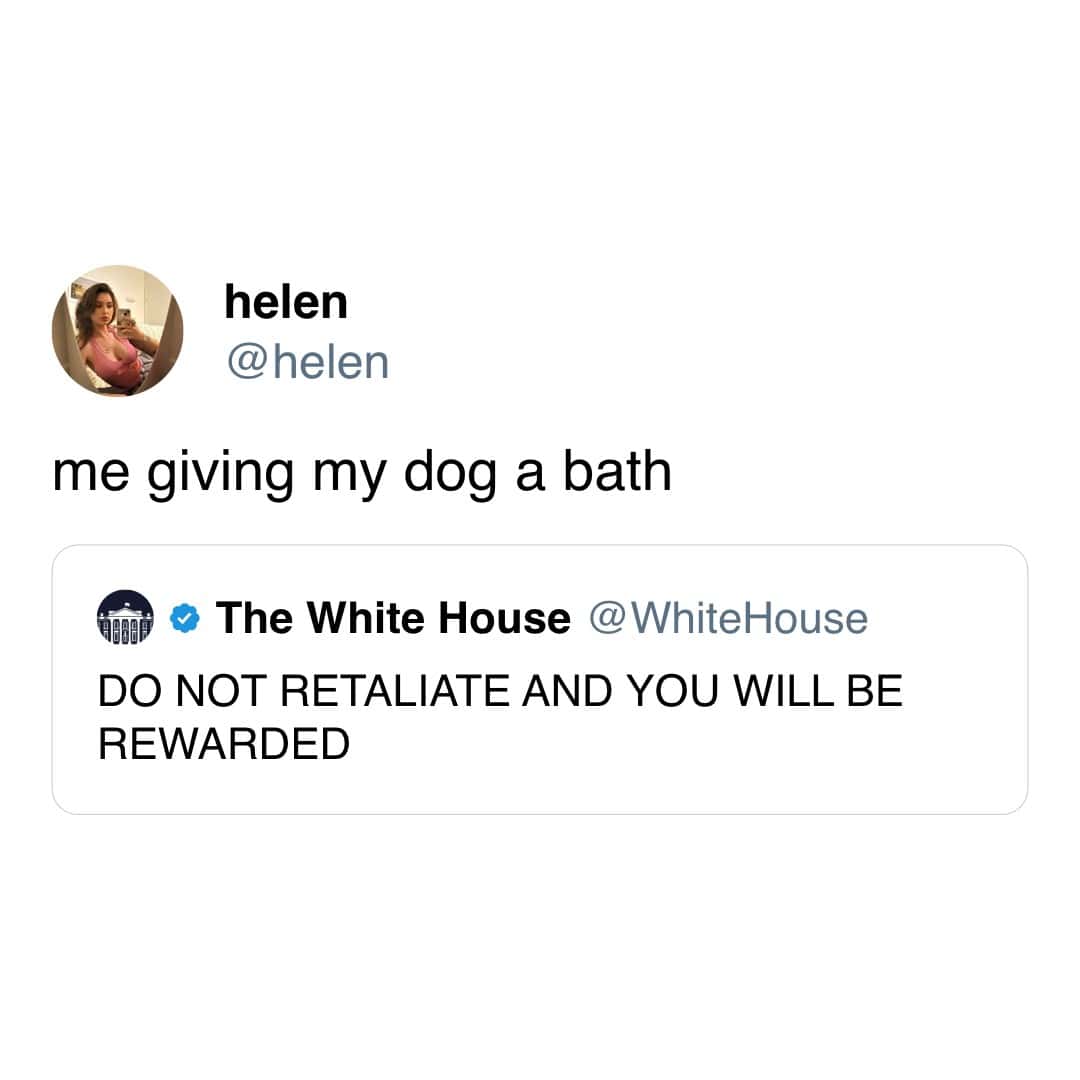 meme dump, funny memes, hilarious memes, meme collection, comedic spree, batch of memes, comedic images, laugh-worthy posts, side-splitting visuals, comedic snapshots, lazy Sunday memes, weekend humor, procrastination jokes, dank memes, dank meme dump, memes funny