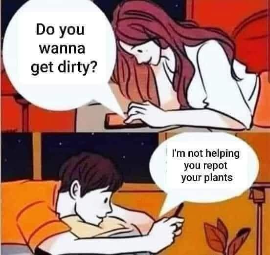 meme dump, hilarious memes, funny memes, vening dump session, curated meme collection, meme compilation, funny meme selection, meme roundup, internet meme, memes funny, internet meme