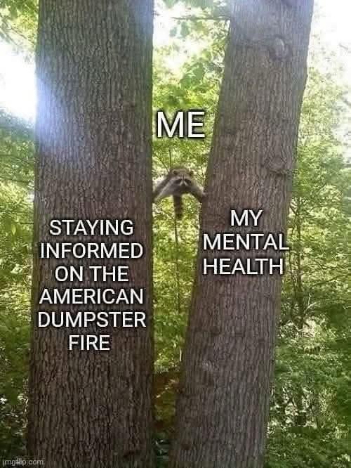 ME STAYING INFORMED ON THE AMERICAN DUMPSTER FIRE MY MENTAL HEALTH
