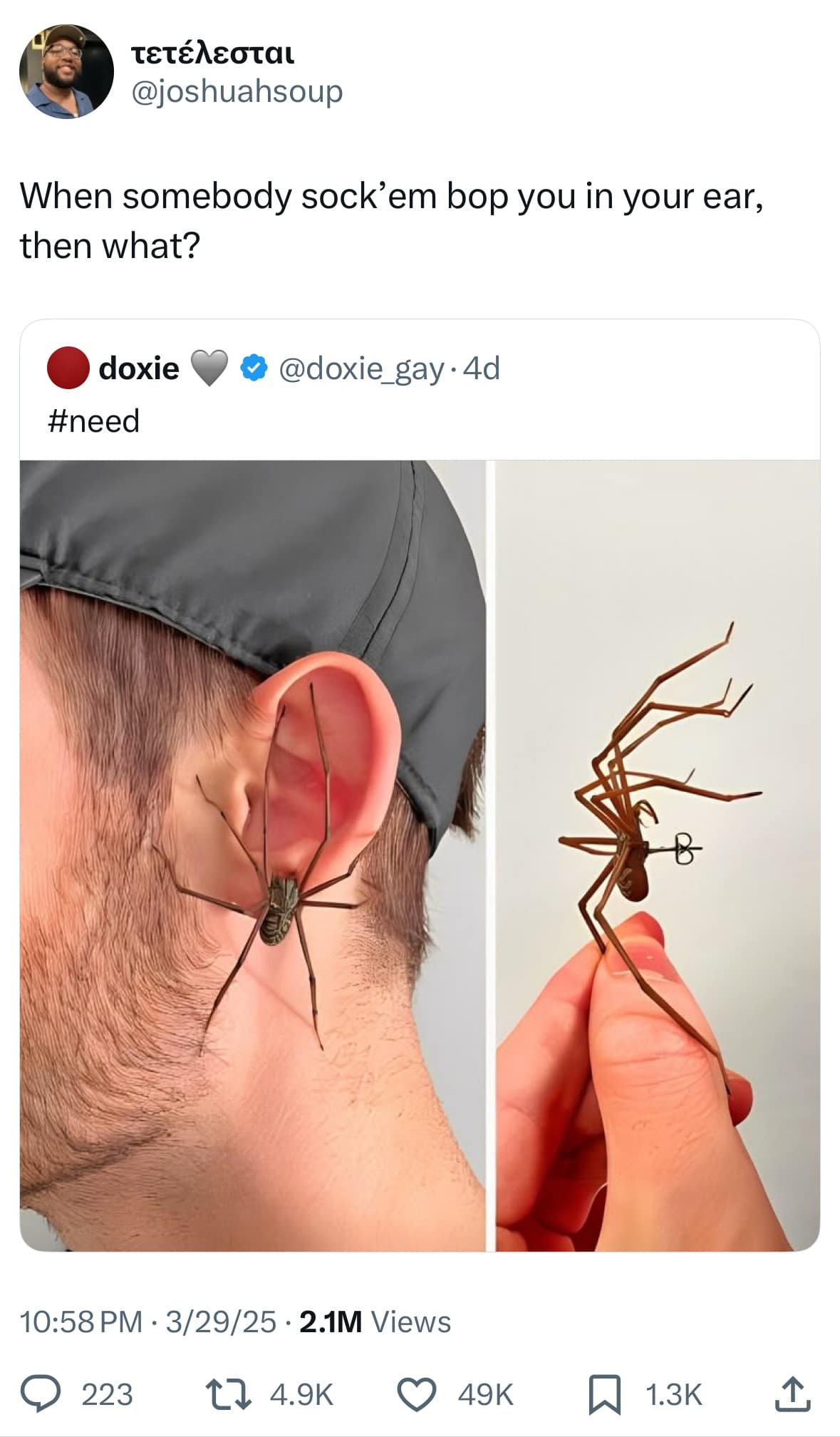 TETéMEOtaL @joshuahsoup When somebody sock'em bop you in your ear, then what? doxie ® @doxie_gay.4d #need 10:58 PM • 3/29/25 • 2.1M Views © 223 17 4.9K © 49K @ 1.3k