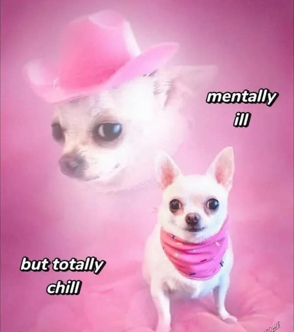 meme dump, funny memes, hilarious memes, meme roundup, meme bundle, meme collection, comedy memes, laugh memes, trending memes, viral memes, popular memes, hot memes, internet memes, social media memes, web humor, online laughs, meme gallery, dank memes, dank meme dump, memes funny, internet meme