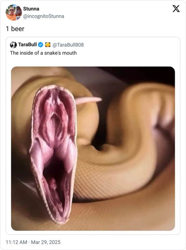 meme dump, funny memes, hilarious memes, Sunday memes, lazy afternoon humor, adulting jokes, modern life memes, chaotic humor, random memes, internet memes, dank memes, dank meme dump, spicy memes, memes funny