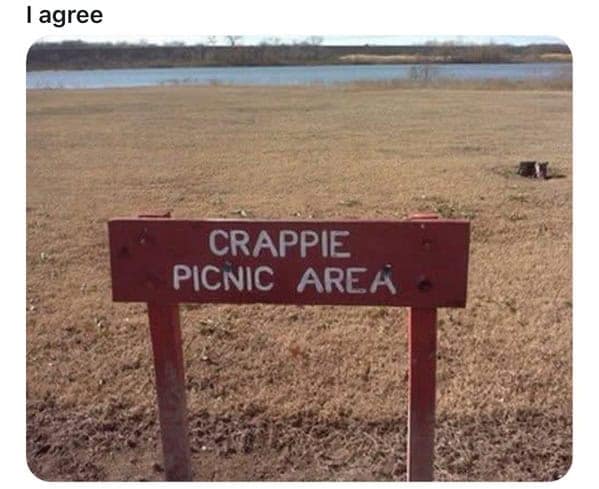 meme dump, funny memes, hilarious memes, meme roundup, meme bundle, meme collection, comedy memes, laugh memes, trending memes, viral memes, popular memes, hot memes, internet memes, social media memes, web humor, online laughs, meme gallery, dank memes, dank meme dump, memes funny, internet meme