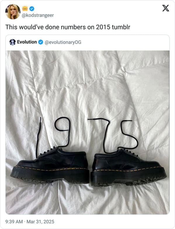 meme dump, funny memes, hilarious memes, Sunday memes, lazy afternoon humor, adulting jokes, modern life memes, chaotic humor, random memes, internet memes, dank memes, dank meme dump, spicy memes, memes funny