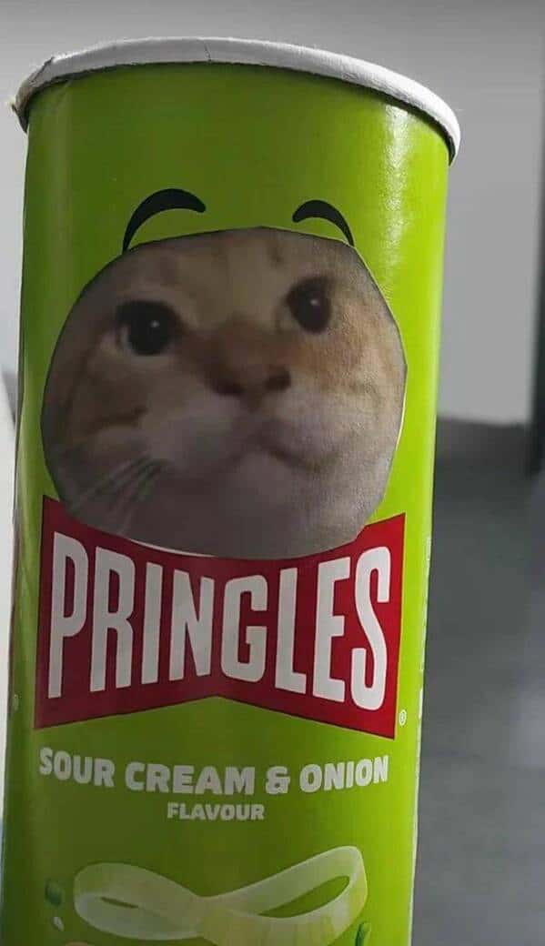 PRINGLES SOUR CREAM & ONION FLAVOUR