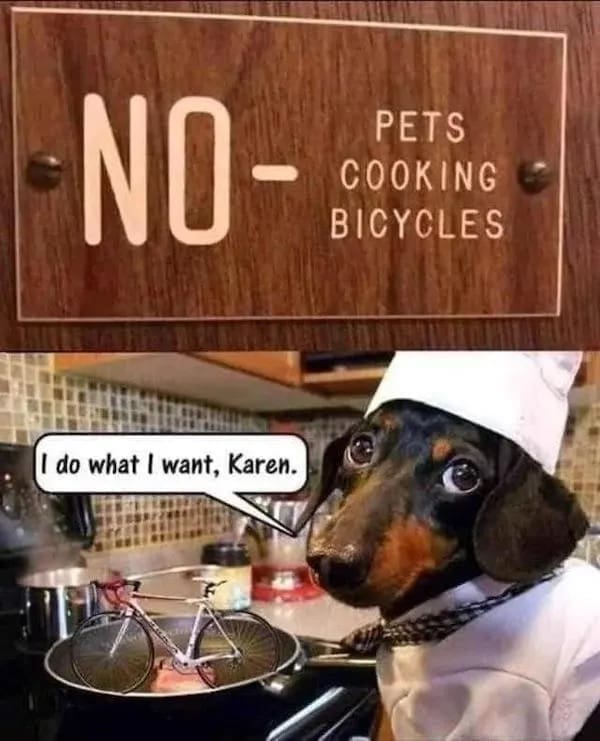 NO- PETS COOKING BICYCLES |I do what I want, Karen.