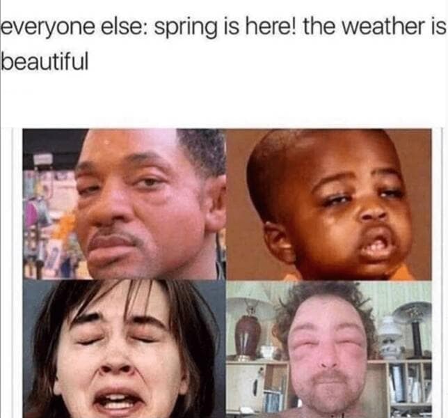meme dump, funny memes, hilarious memes, meme stash, meme collection, meme roundup, meme gallery, comedic images, humor posts, laugh fuel, giggle gallery, trending memes, viral jokes, internet laughs, memes funny, dank memes, dank meme dump, internet meme