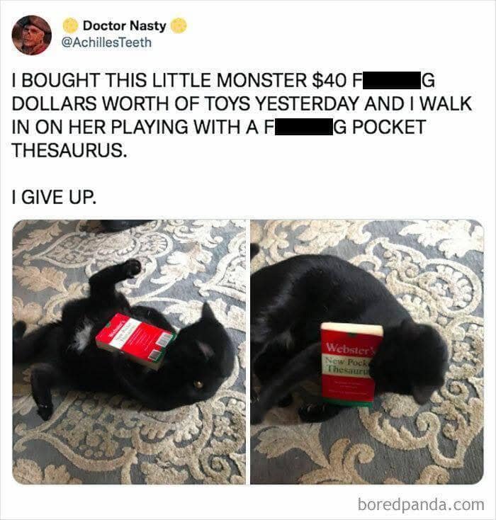 meme dump, funny memes, hilarious memes, meme stash, meme collection, meme roundup, meme gallery, comedic images, humor posts, laugh fuel, giggle gallery, trending memes, viral jokes, internet laughs, memes funny, dank memes, dank meme dump, internet meme