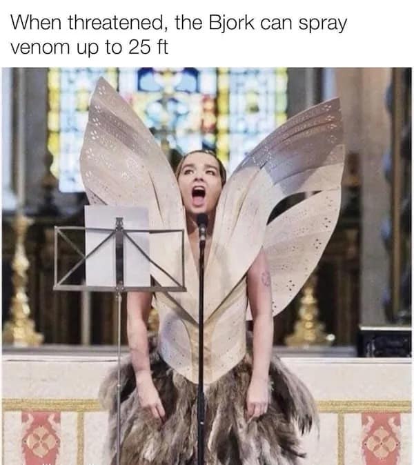 meme dump, funny memes, hilarious memes, meme stash, meme collection, meme roundup, meme gallery, comedic images, humor posts, laugh fuel, giggle gallery, trending memes, viral jokes, internet laughs, memes funny, dank memes, dank meme dump, internet meme