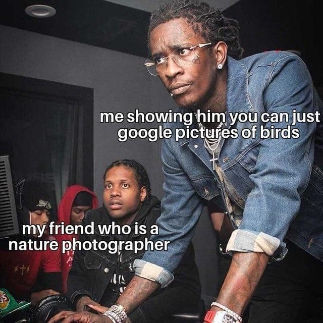 me showing him you can just google pictures of birds my friend who is a nature photographer