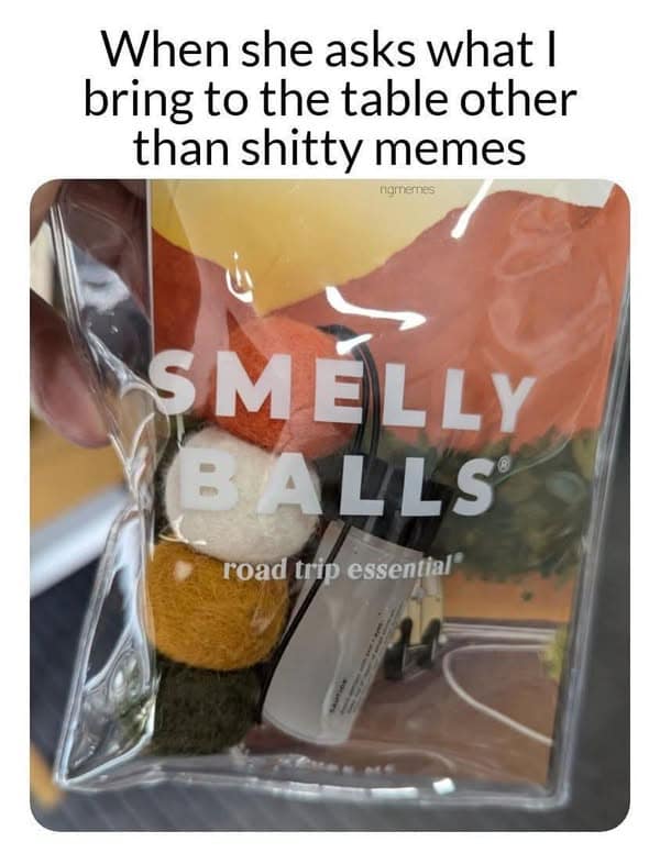 When she asks what I bring to the table other than shitty memes namernest SMELLY BALLS® road trip essential®