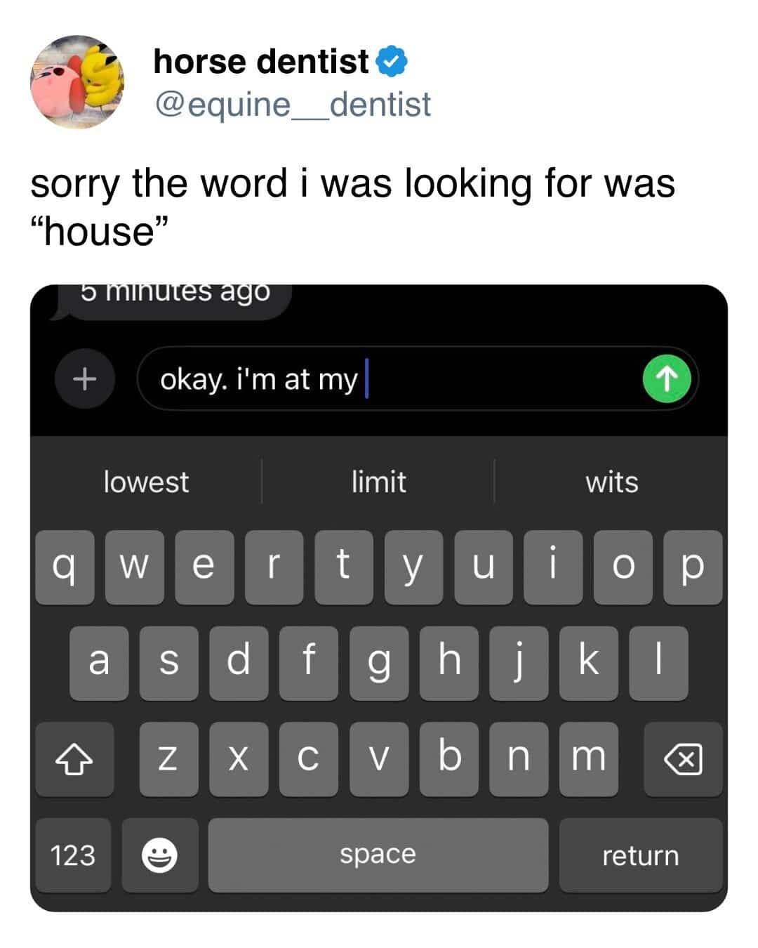 horse dentist @equine_ _dentist sorry the word i was looking for was "house" • minutes ago + okay. i'm at my lowest limit wits W e ui D a f O h Z X C b n m 123 space return