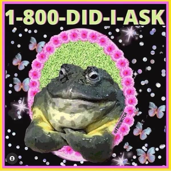 1-800-DID-I-ASK @FROGWITCH