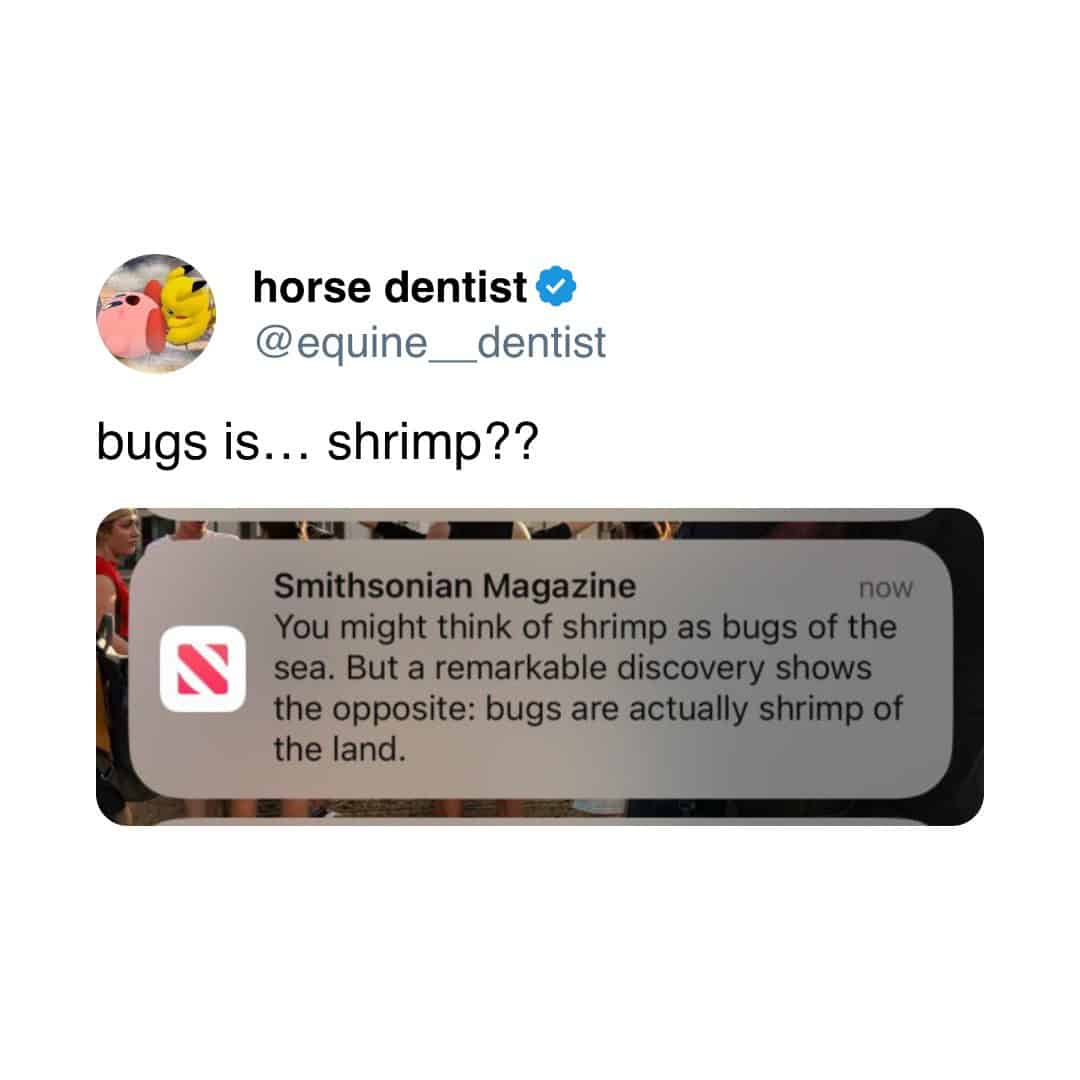 meme dump, funny memes, hilarious memes, meme roundup, meme stash, meme bundle, meme gallery, meme collection, comedy posts, trending memes, viral memes, hot memes, internet memes, web jokes, digital laughs, internet meme, memes funny, dank memes, dank meme dump