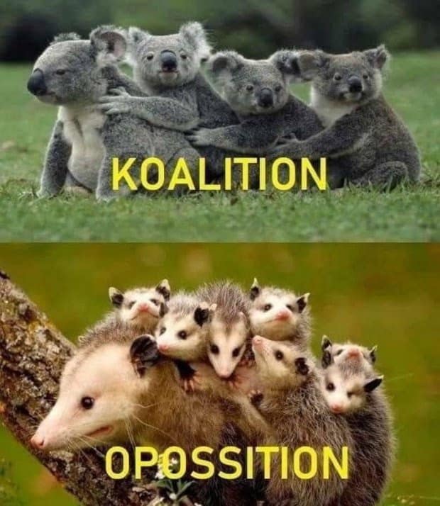 meme dump, funny memes, hilarious memes, meme roundup, meme stash, meme bundle, meme gallery, meme collection, comedy posts, trending memes, viral memes, hot memes, internet memes, web jokes, digital laughs, internet meme, memes funny, dank memes, dank meme dump