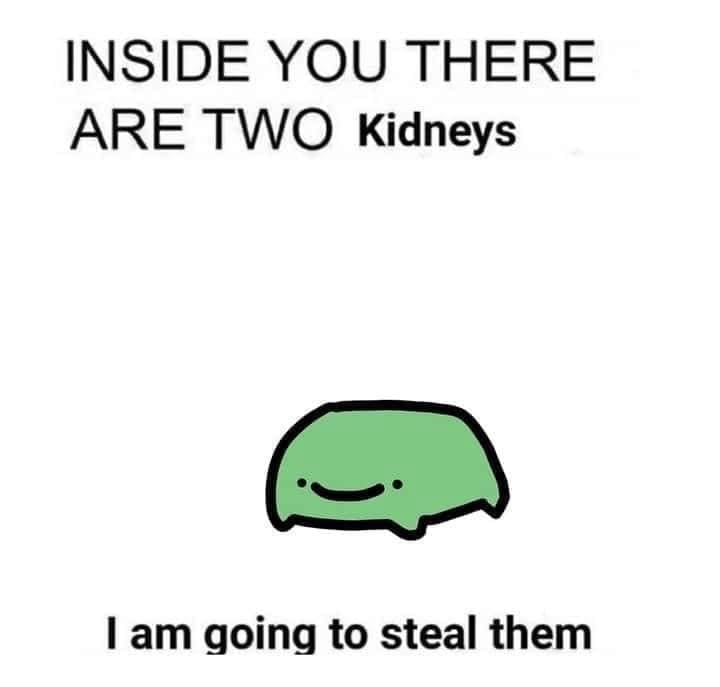 meme dump, funny memes, hilarious memes, viral memes, trending memes, dank memes, dank meme dump, internet meme, memes funny, fresh memes, meme gallery, meme collection