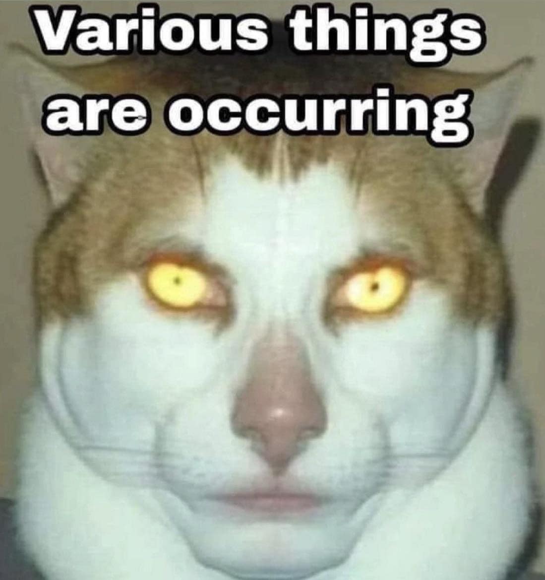 meme dump, funny memes, hilarious memes, internet meme, dank memes, dank meme dump, memes funny, meme stash, meme bundle, meme roundup, meme gallery, comedic posts, humorous images, laugh‑out‑loud memes, knee‑slap jokes, trending memes, viral laughs, popular web jokes