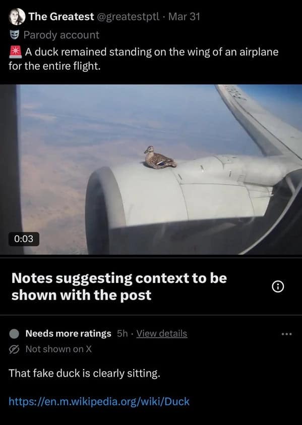 meme dump, funny memes, hilarious memes, meme stash, meme bundle, meme roundup, meme gallery, comedic pics, humorous posts, laugh fuel, giggle blasts, trending memes, viral jokes, hot web laughs, dank memes, dank meme dump, internet meme, memes funny