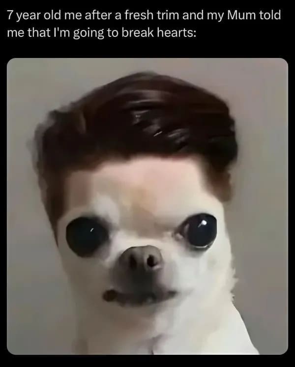 7 year old me after a fresh trim and my Mum told me that I'm going to break hearts: dog meme