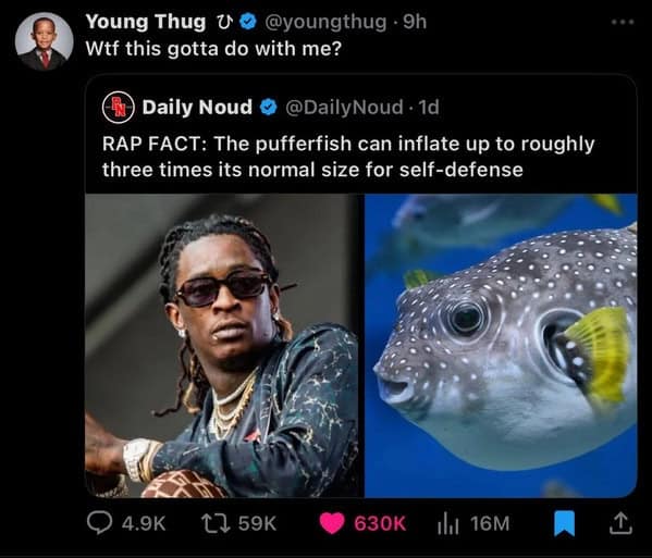 meme dump, funny memes, hilarious memes, meme stash, meme bundle, meme roundup, meme gallery, comedic pics, humorous posts, laugh fuel, giggle blasts, trending memes, viral jokes, hot web laughs, dank memes, dank meme dump, internet meme, memes funny