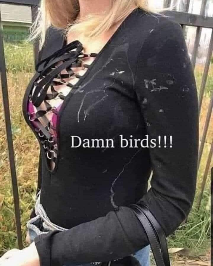 meme dump, funny memes, hilarious memes, meme stash, meme bundle, meme roundup, meme gallery, comedic pics, humorous posts, laugh fuel, giggle blasts, trending memes, viral jokes, hot web laughs, dank memes, dank meme dump, internet meme, memes funny