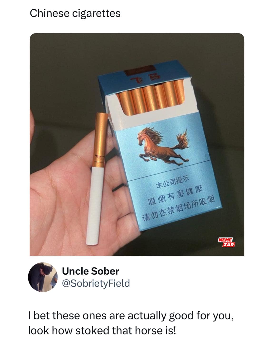 Chinese cigarettes 本公司提示 吸烟有害健康 请勿在禁烟场所吸烟 EAR Uncle Sober @SobrietyField I bet these ones are actually good for you, look how stoked that horse is!