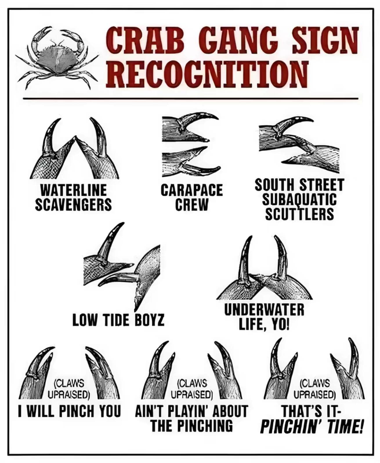 CRAB GANG SIGN RECOGNITION WATERLINE SCAVENGERS CARAPACE CREW SOUTH STREET SUBAQUATIC SCUTTLERS LOW TIDE BOYZ UNDERWATER LIFE, YO! (CLAWS (CLAWS UPRAISED) UPRAISED) I WILL PINCH YOU AIN'T PLAYIN' ABOUT THE PINCHING (CLAWS UPRAISED) THAT'S IT. PINCHIN' TIME!