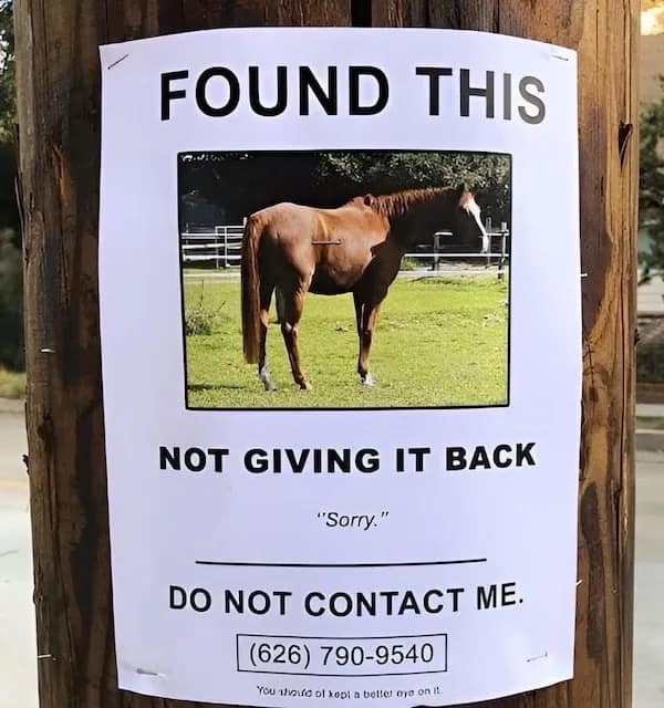 FOUND THIS NOT GIVING IT BACK "Sorry." DO NOT CONTACT ME. (626) 790-9540 You madfo ol xost a bolter ore on it.