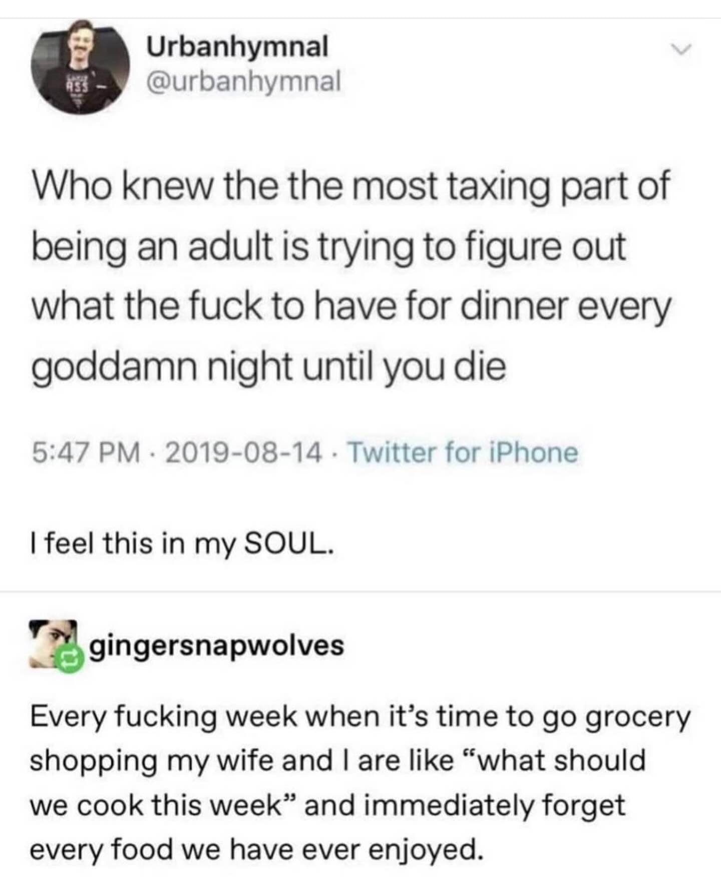 Urbanhymnal @urbanhymnal Who knew the the most taxing part of being an adult is trying to figure out what the fuck to have for dinner every goddamn night until you die 5:47 PM • 2019-08-14 • Twitter for iPhone I feel this in my SOUL. Te gingersnapwolves Every fucking week when it's time to go grocery shopping my wife and I are like "what should we cook this week" and immediately forget every food we have ever enjoyed.